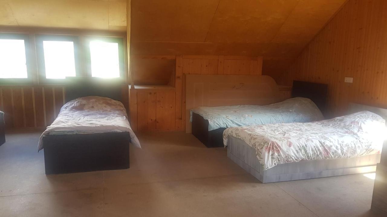 Hostel The Misty Mountains เมสเตีย ภายนอก รูปภาพ