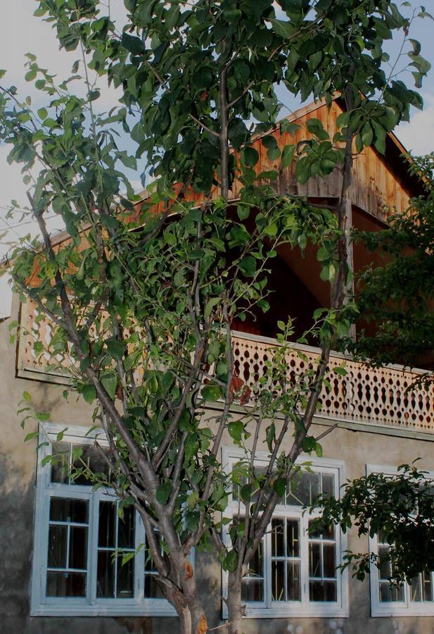 Hostel The Misty Mountains เมสเตีย ภายนอก รูปภาพ
